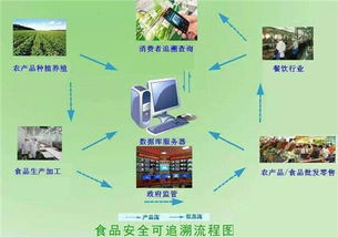 剖析物聯(lián)網(wǎng)能使一人養(yǎng)一萬頭豬 是真需求還是偽痛點(diǎn)的車聯(lián)網(wǎng)科技思考